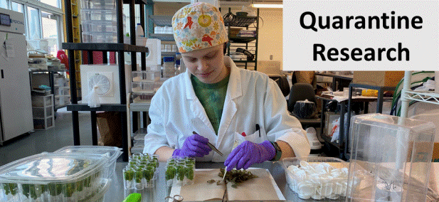 /ARSUserFiles/60320500/stephanie with Q label.gif